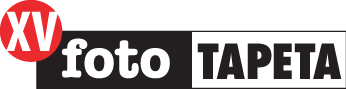 fotoTAPETA - logo