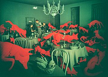 Sandy Skoglund